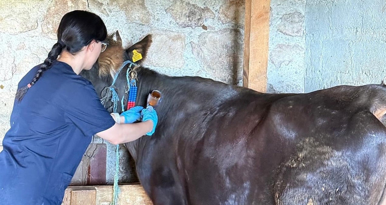 kastamonuda sap alarmi 69 koy karantinaya alindi 9C8JZnYP