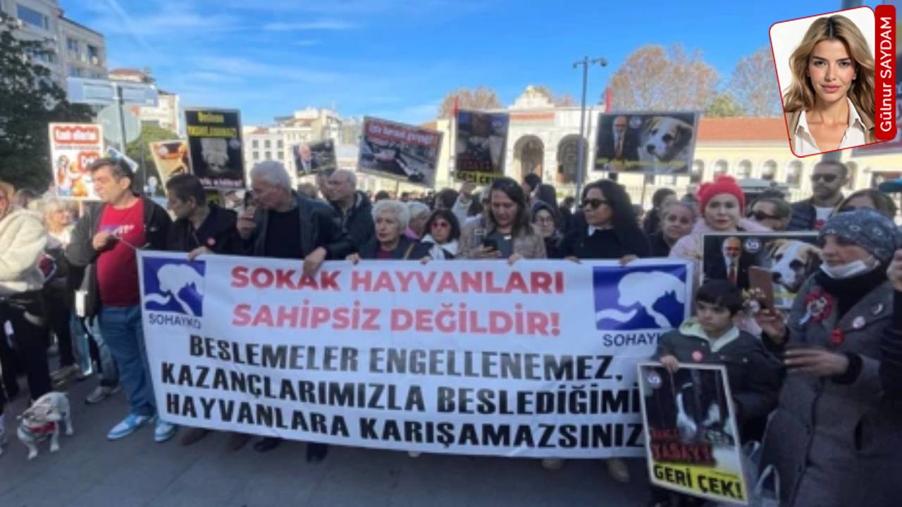 İstanbul’daki Hayvan Hakları Toplantısı İptal Edildi