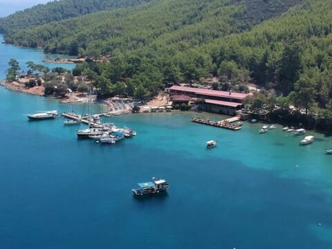 Yine yağma yine talan